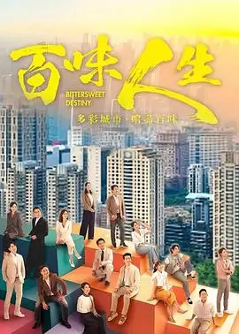 雾中回声 海报